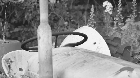 An old tractor with wild flowers Stock Footage 116132666
