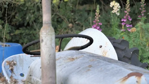 An old tractor with wildflowers Stock Footage 116132703