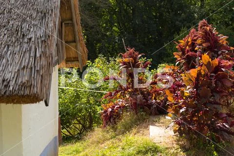 Old traditional architecture with typical wooden huts and mills in Chernivtsi Stock Photos