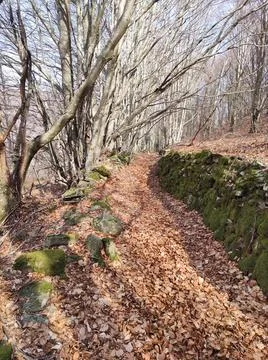 Old Trail Stock Photos