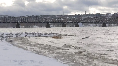 Old Train Bridge in Fredericton after a Snow Fall. Stock-Footage 83327052