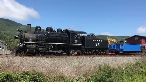 Old Train Stock Footage 297589120