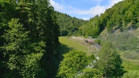 Old train goes through forest in Germany/ Sunny day Vídeo Stock 108441519