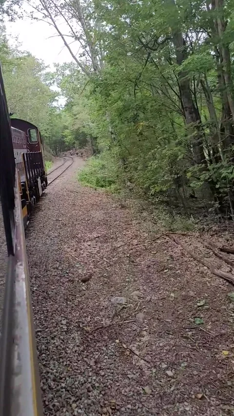 Old Train Locomotive pulling passenger cabs on curved track Stock Footage 252028494