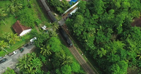 An old train moves through a village in a beautiful green jungle on a bright Stock Footage 221707429