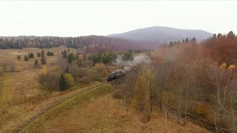 Old train moving through the breathtaking forest railway, mountains Vídeo Stock 124076806