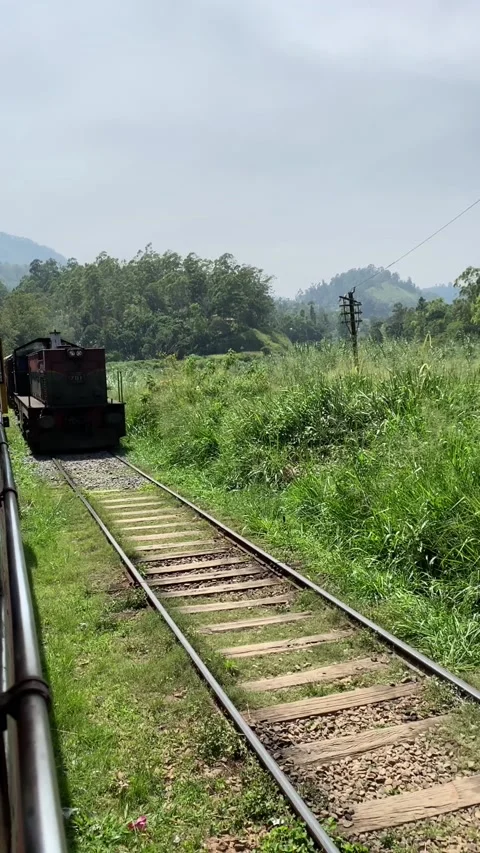 Old train on the nature Vídeos de archivo 135400146