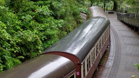 Old train in rainforest travelling through slow motion Stock Footage 112369772