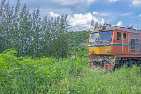 The old train ran through the forest. Stock Photos