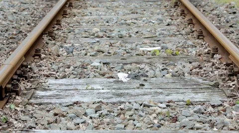 Old train track in grass Stock Footage 60698295