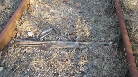 Old Train Tracks Vidéo 22554696