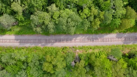Old Train Tracks Stock Footage 305807085