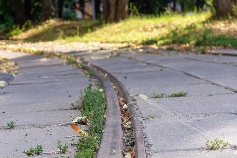 Old tram tracks embedded in concrete pavement in a city park with green grass Stock Photos