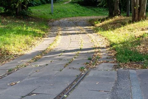 Old tram tracks embedded in stone pavement through a green park landscape Stock Photos