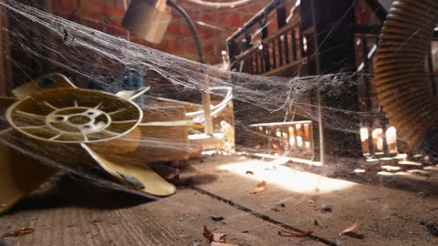 Old Trash In The Attic Stock Footage 119446702