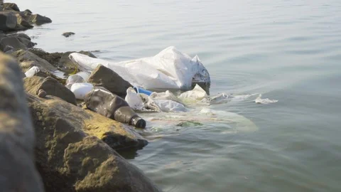 Old trash on the surface of the river Stock Footage 113281382