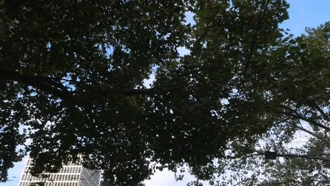 Old Treasury Building Video stock 89412966