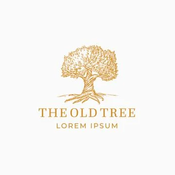 The Old Tree Abstract Vector Sign, Symbol or Logo Template. Hand Drawn Oak Tree Stock Illustration