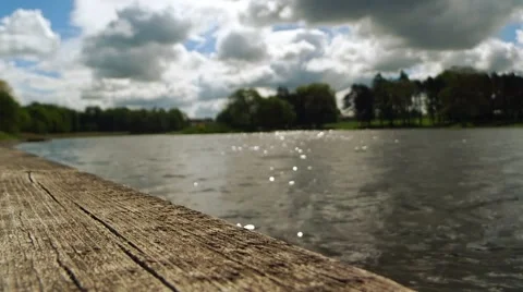 Old tree and waves on the river background Stock Footage 50103481
