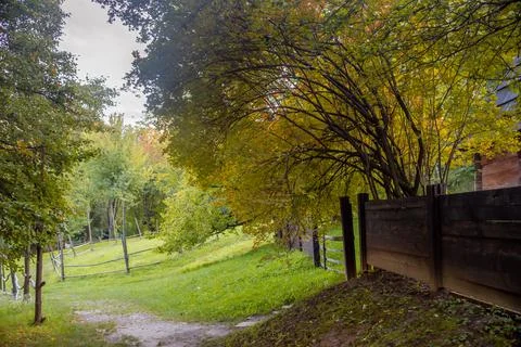 Old tree in authentic old Ukrainian village. Autumn evening village landscape Stock Photos