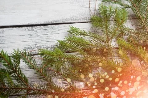 Old tree background with pine and bokeh. New year background, Foto stock
