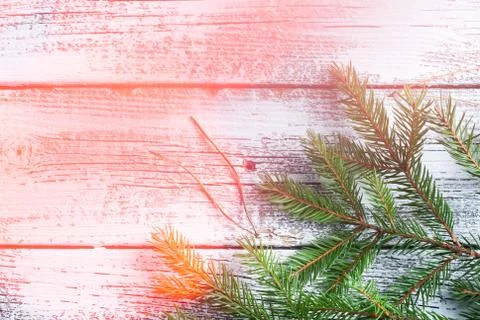 Old tree background with pine and bokeh. New year background, Foto stock