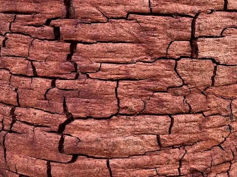 Old tree bark background (7) Stock Photos
