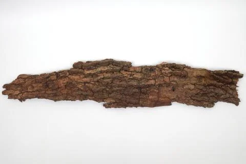 Old tree bark on white background Stock Photos
