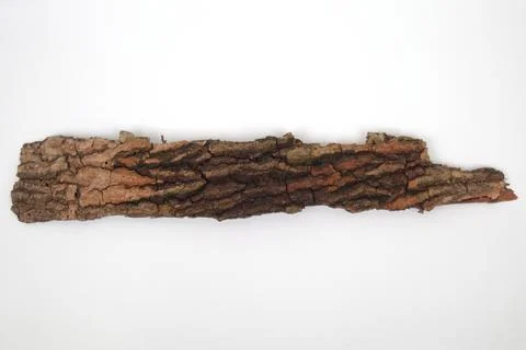 Old tree bark on white background Stock Photos