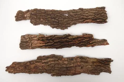 Old tree bark on white background Stock Photos