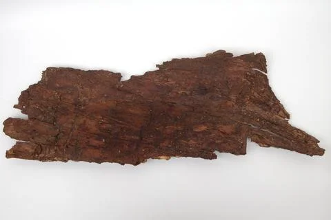 Old tree bark on white background Stock Photos