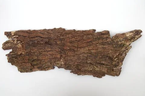 Old tree bark on white background Stock Photos