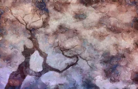 Old tree branches Stock Illustration