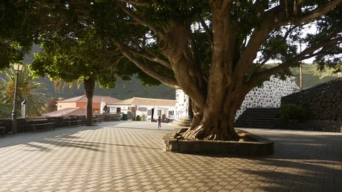 Old Tree Chapel In Masca Village Canary Island Tenerife Spain Stock Footage 104544797