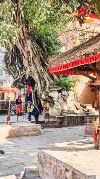 An old tree grows above a brick grotto. Stock Photos