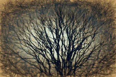 Old tree Illustrazione stock