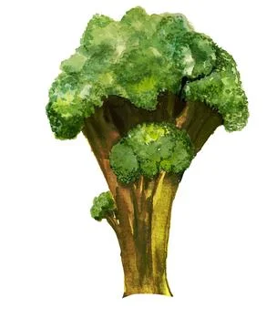 Old tree Stock Illustration