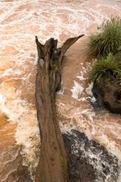 Old tree log stuck in the rocks of a river Stock-Fotos