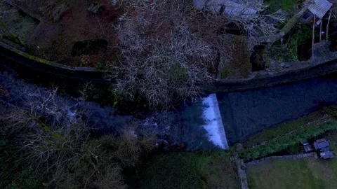 Old tree next to a river with small waterfalls. Stockbeeldmateriaal 256626870