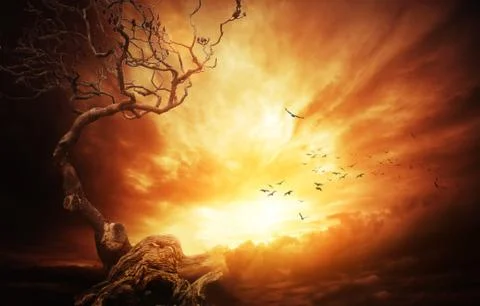 Old tree over stormy sky. Stock Illustration