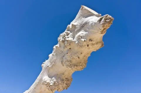 Old  tree Stock Photos