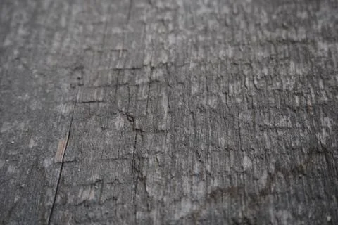 Old tree Stock Photos