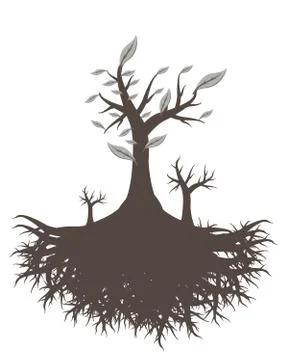 Old tree root Stock Illustration