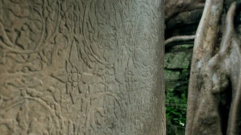 Old tree roots Banteay Srei Temple In Angkor Area, Siem Reap, Cambodia, Asia Stock Footage 105366255