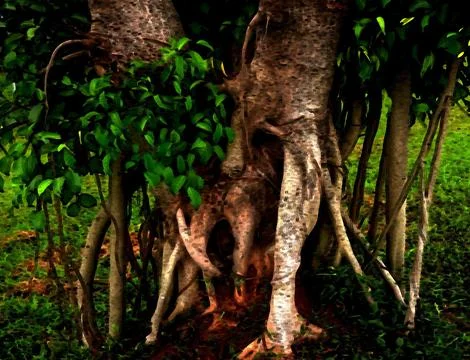 Old tree roots painting Stock Photos