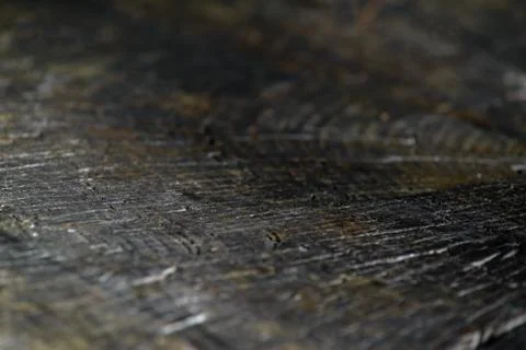 Old Tree Saw Background Foto stock