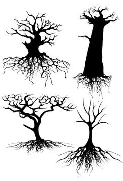 Old tree silhouettes with roots Stock-Illustration