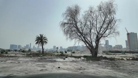 An old tree stands quietly in a forgotten village away from the city in the UAE Stock Footage 335947398