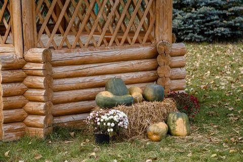 An old tree stump in the park Stock Photos