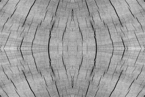 Old tree stump Stock Photos